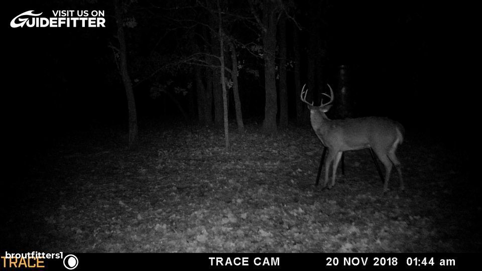 Enlarged photo by BR Outfitters