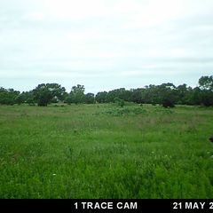 Photo by BR Outfitters