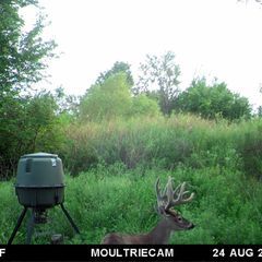 Photo by BR Outfitters