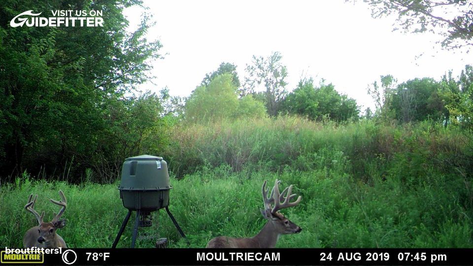 Enlarged photo by BR Outfitters