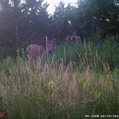 Photo by BR Outfitters