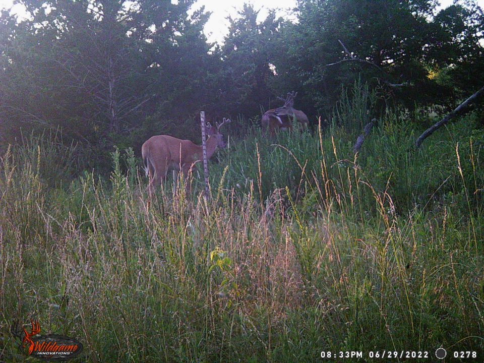 Enlarged photo by BR Outfitters