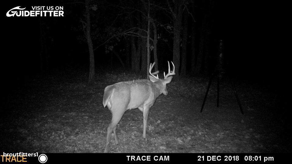 Enlarged photo by BR Outfitters