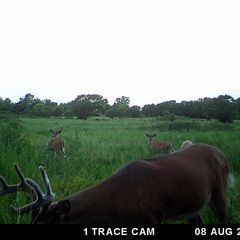 Photo by BR Outfitters