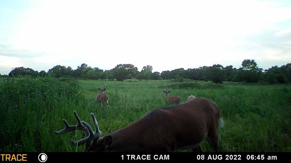 Enlarged photo by BR Outfitters