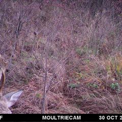 Photo by BR Outfitters