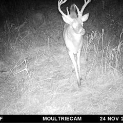 Photo by BR Outfitters