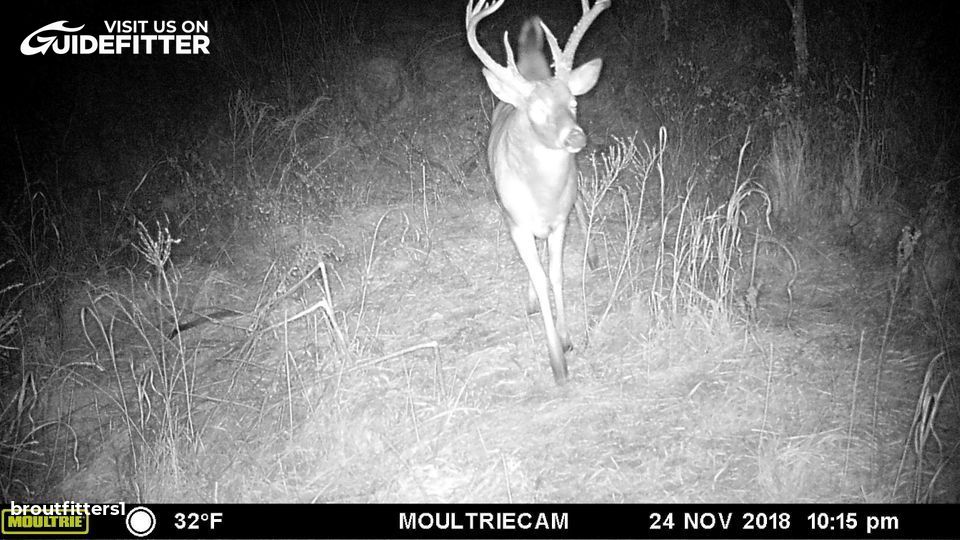 Enlarged photo by BR Outfitters