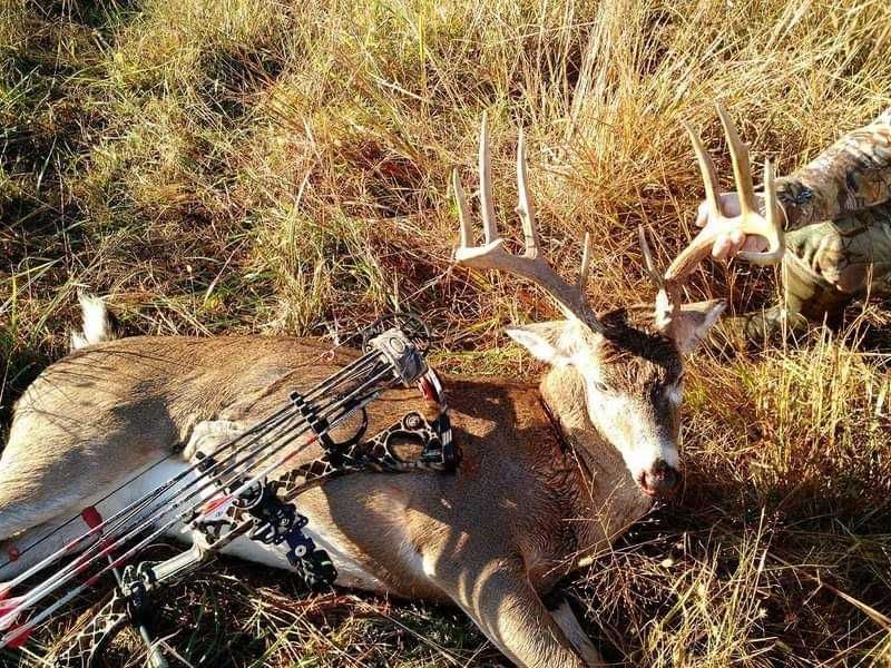 Enlarged photo by BR Outfitters