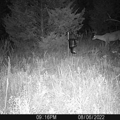 Photo by BR Outfitters