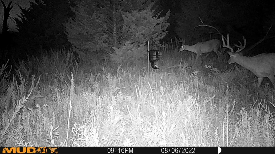 Enlarged photo by BR Outfitters