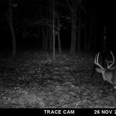 Photo by BR Outfitters