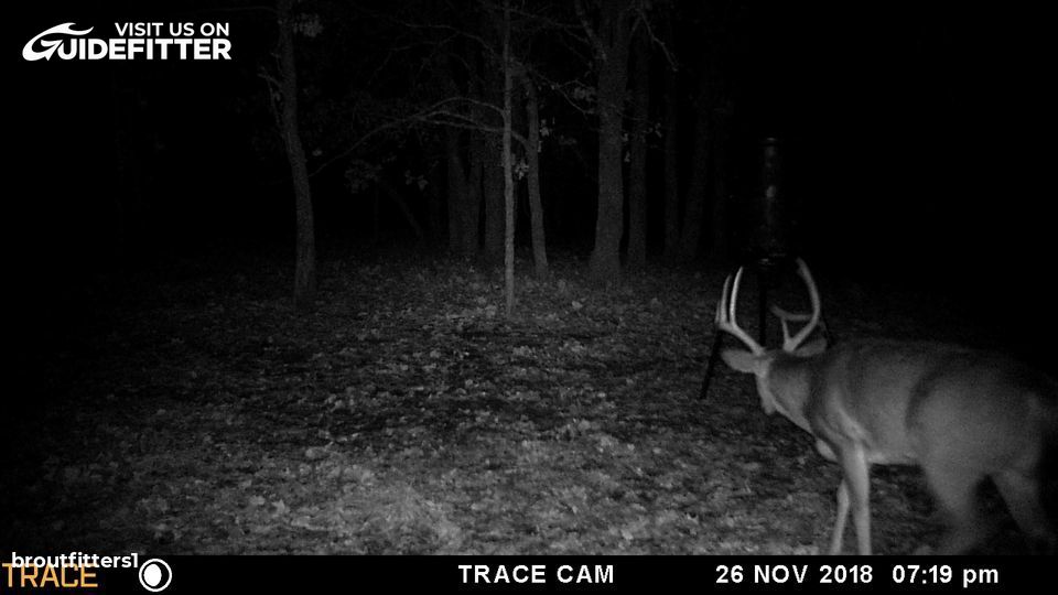 Enlarged photo by BR Outfitters