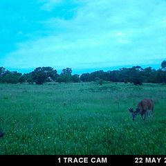 Photo by BR Outfitters