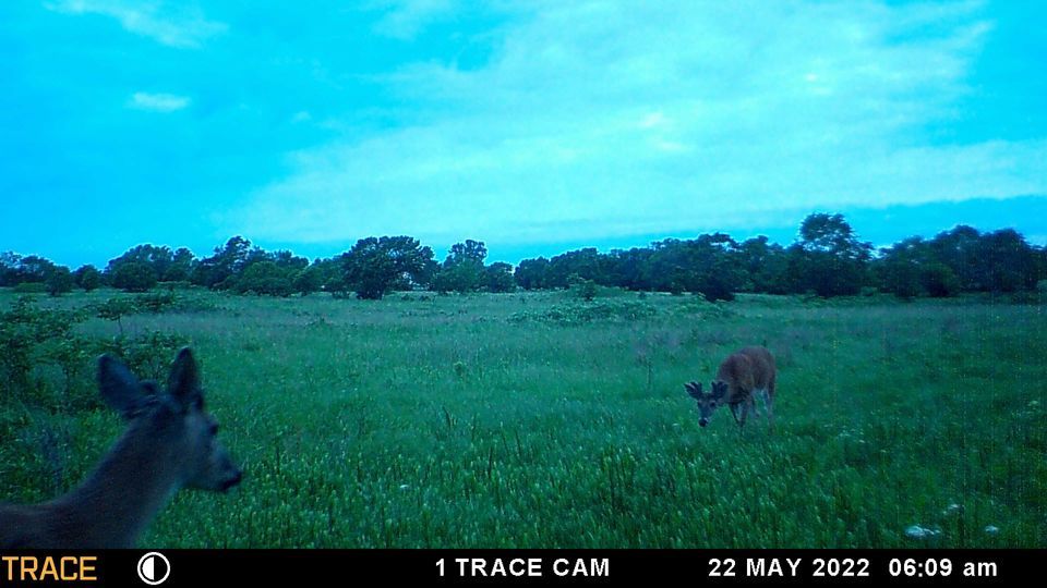 Enlarged photo by BR Outfitters