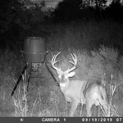 Photo by BR Outfitters