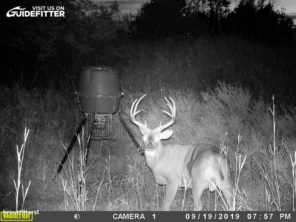 Enlarged photo by BR Outfitters